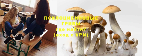 СК Тихорецк