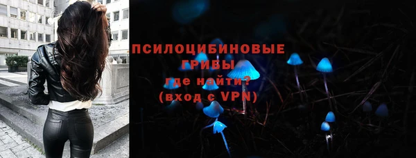 марки lsd Горняк