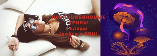 круглые Горно-Алтайск